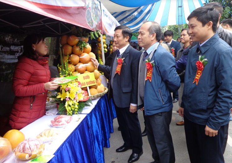 Hội chợ cam nâng tầm giá trị và thương hiệu của cam Hưng Yên