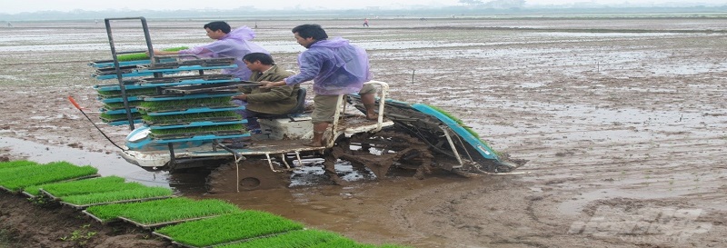 Khuyến nông đồng hành đưa nông nghiệp Hưng Yên phát triển năng động nhất nước