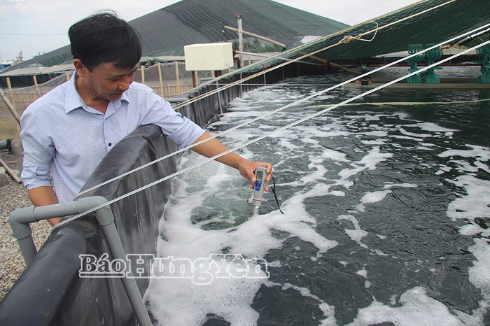 Xã Hưng Phú phát triển nuôi thủy sản theo hướng bền vững
