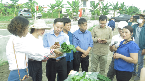 Chuyển đổi số trong nông nghiệp: Cơ hội phát triển kinh tế nông thôn