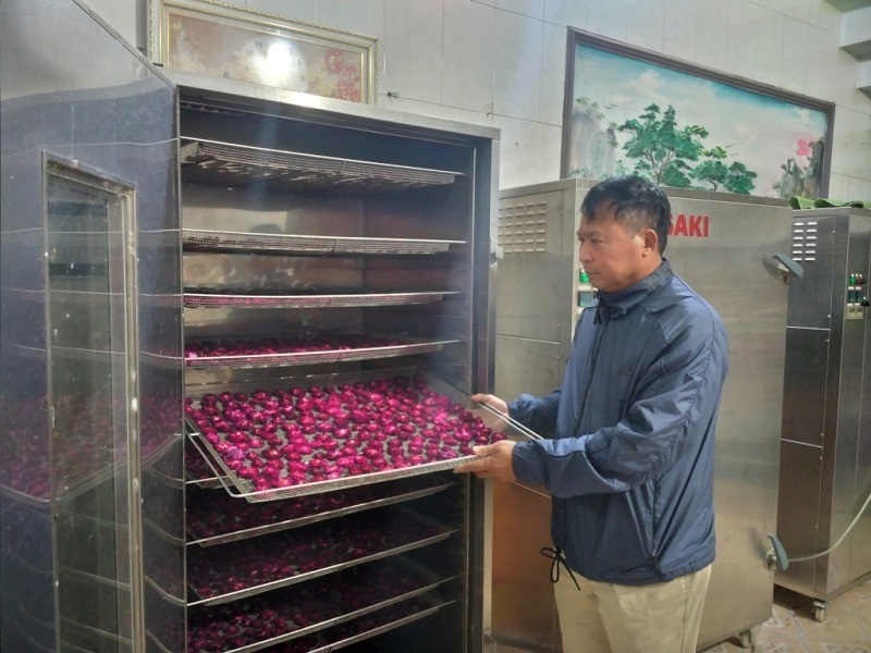 Gần 100 HTX nông nghiệp của Hưng Yên ứng dụng công nghệ cao trong sản xuất