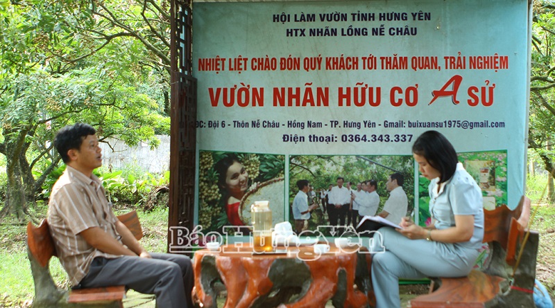 Người nông dân nặng lòng với nhãn hữu cơ