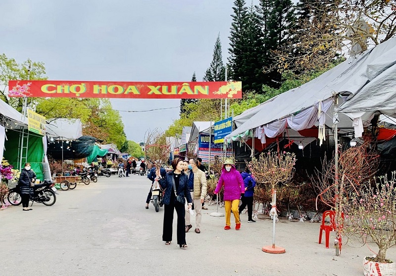 Chợ hoa xuân Ất Tỵ ở thành phố Hưng Yên dự kiến tổ chức từ ngày 5/1/2025 đến hết ngày 28/1/2025