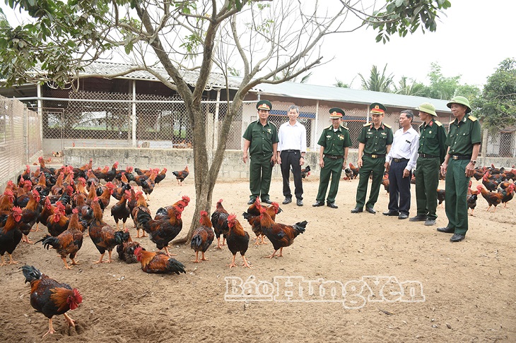 Cựu chiến binh làm giàu trên quê hương