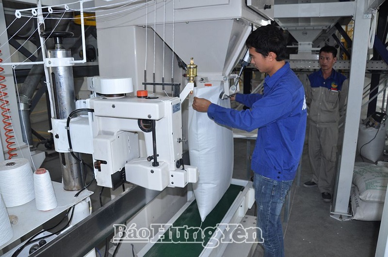Thu hút đầu tư lĩnh vực sản xuất, chế biến nông sản