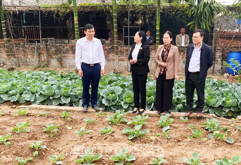 Phó Chủ tịch Thường trực UBND tỉnh Nguyễn Lê Huy kiểm tra việc thực hiện đề án bảo vệ môi trường
