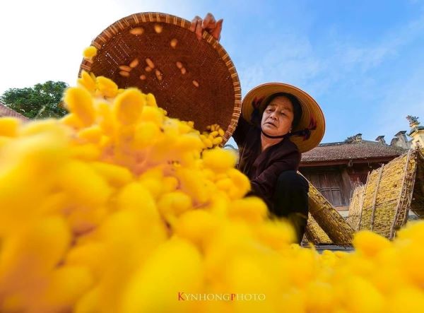 LÀNG NGHỀ ĐŨI NAM CAO – PHÁT HUY GIÁ TRỊ TRUYỀN THỐNG GẮN VỚI HỢP TÁC XÃ HẠNH SILK TRONG TRIỂN KHAI CHƯƠNG TRÌNH OCOP