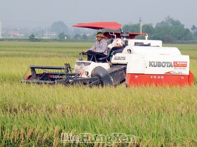 Rộn ràng ngày mùa