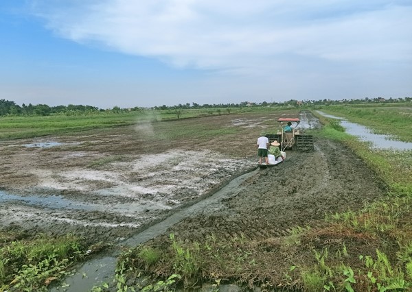 Thanh niên nông thôn trở lại với đồng đất quê hương