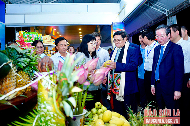 Khai mạc Festival trái cây và sản phẩm OCOP Việt Nam năm 2022