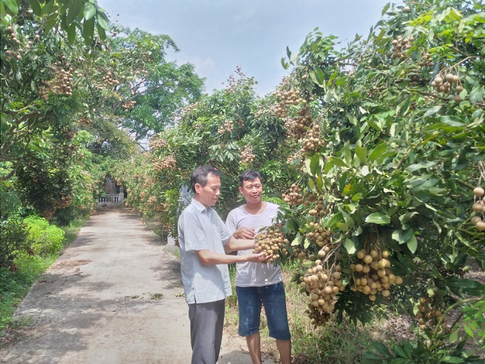 Nhận diện sản phẩm, kết nối kênh tiêu thụ nông sản, sản phẩm OCOP, làng nghề