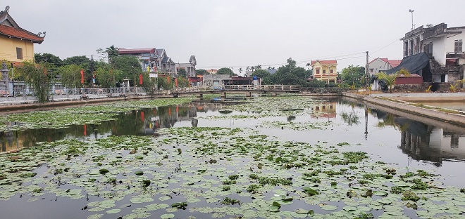 Tỉnh Hưng Yên: quyết tâm xây dựng nông thôn mới nâng cao, nông thôn mới kiểu mẫu