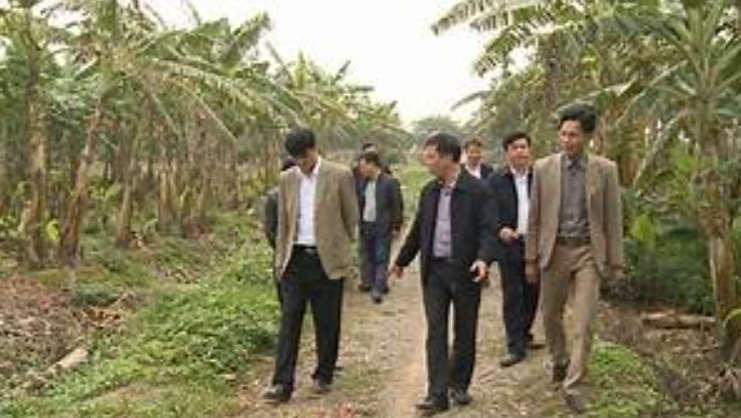 Kiểm tra việc chuyển đổi hơn 1.700 ha đất trồng lúa kém hiệu quả ở Kim Động