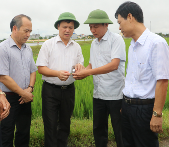 Lãnh đạo tỉnh Hưng Yên kiểm tra sản xuất nông nghiệp