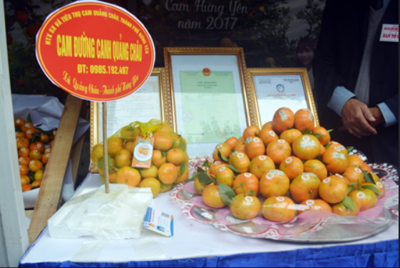Hưng Yên: Gắn tem truy xuất nguồn gốc cho nông sản
