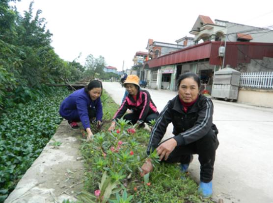 Những con đường hoa xuân ở xứ Nhãn