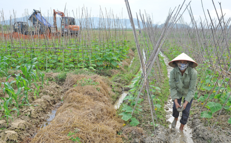 Tái cơ cấu nông nghiệp: Bắt đầu từ thị trường