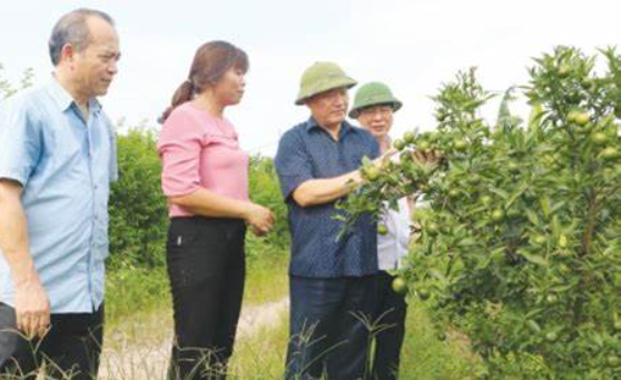 Hưng Yên: Đoàn kết, nỗ lực, sáng tạo thực hiện thắng lợi toàn diện các nhiệm vụ phát triển kinh tế - xã hội năm 2018