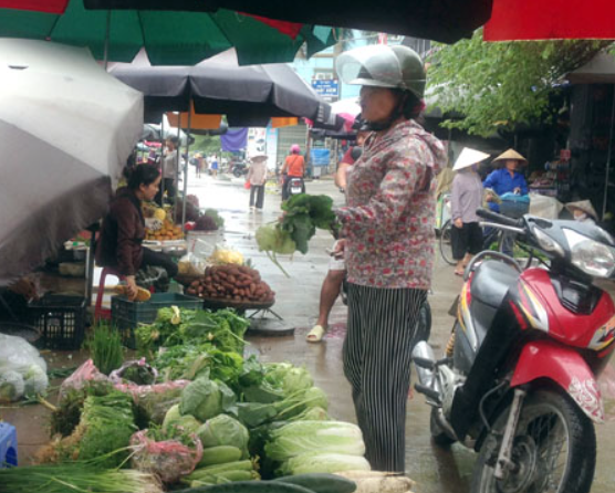 Hưng Yên: Người trồng rau màu thiệt hại do mưa lớn kéo dài