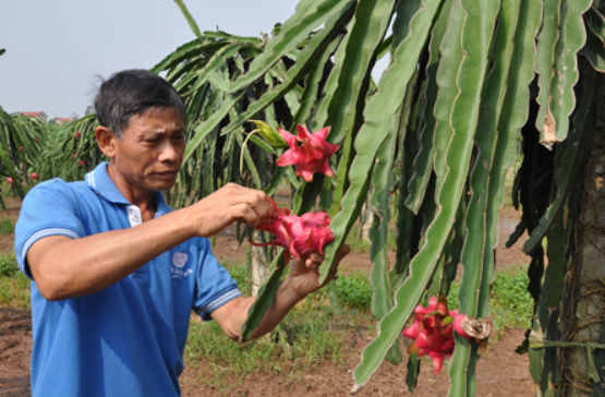 Kim Động: Tạo bước chuyển mạnh mẽ trong phát triển kinh tế - xã hội