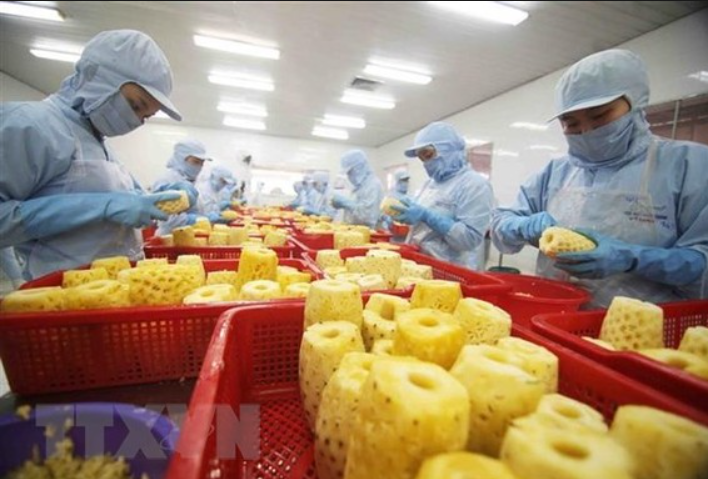 Cần tiêu chuẩn hóa chất lượng nông sản Việt để tăng cơ hội xuất khẩu