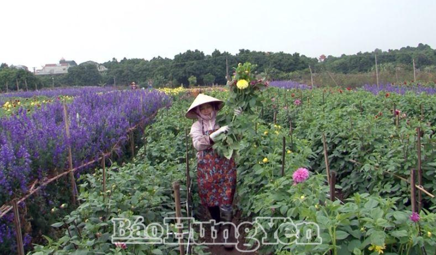 Văn Lâm – Năng động phát triển