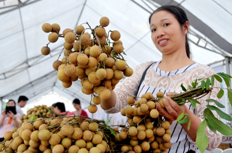 Nhộn nhịp tuần lễ nhãn lồng Hưng Yên tại Hà Nội