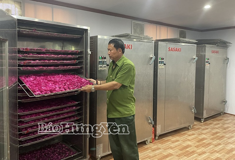Nâng tầm giá trị nông sản