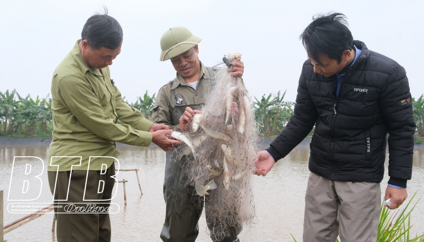 Đông Tiền Hải phát triển mô hình canh tác tuần hoàn