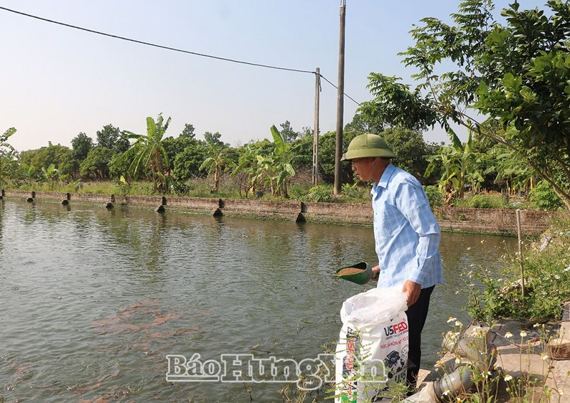 Những trang trại doanh thu tiền tỷ
