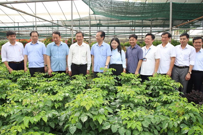 Đoàn thẩm tra của UBND tỉnh làm việc với huyện Văn Giang về thực hiện các tiêu chí huyện nông thôn mới nâng cao
